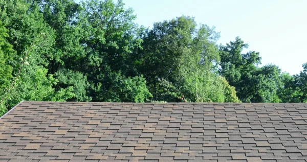 Spot Hidden Storm Damage On Roof Or Home Exterior