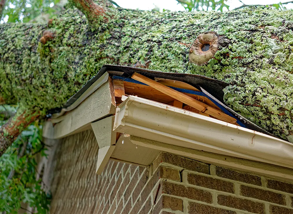 Emergency Roof Repair Needed After Storm